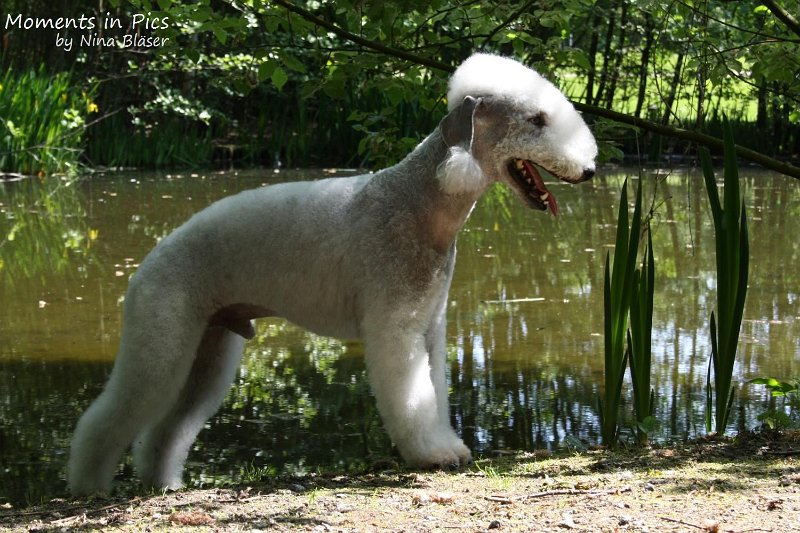 2010-05-23 Airis Blue Volshebny Svet (5)_1500x1000.jpg